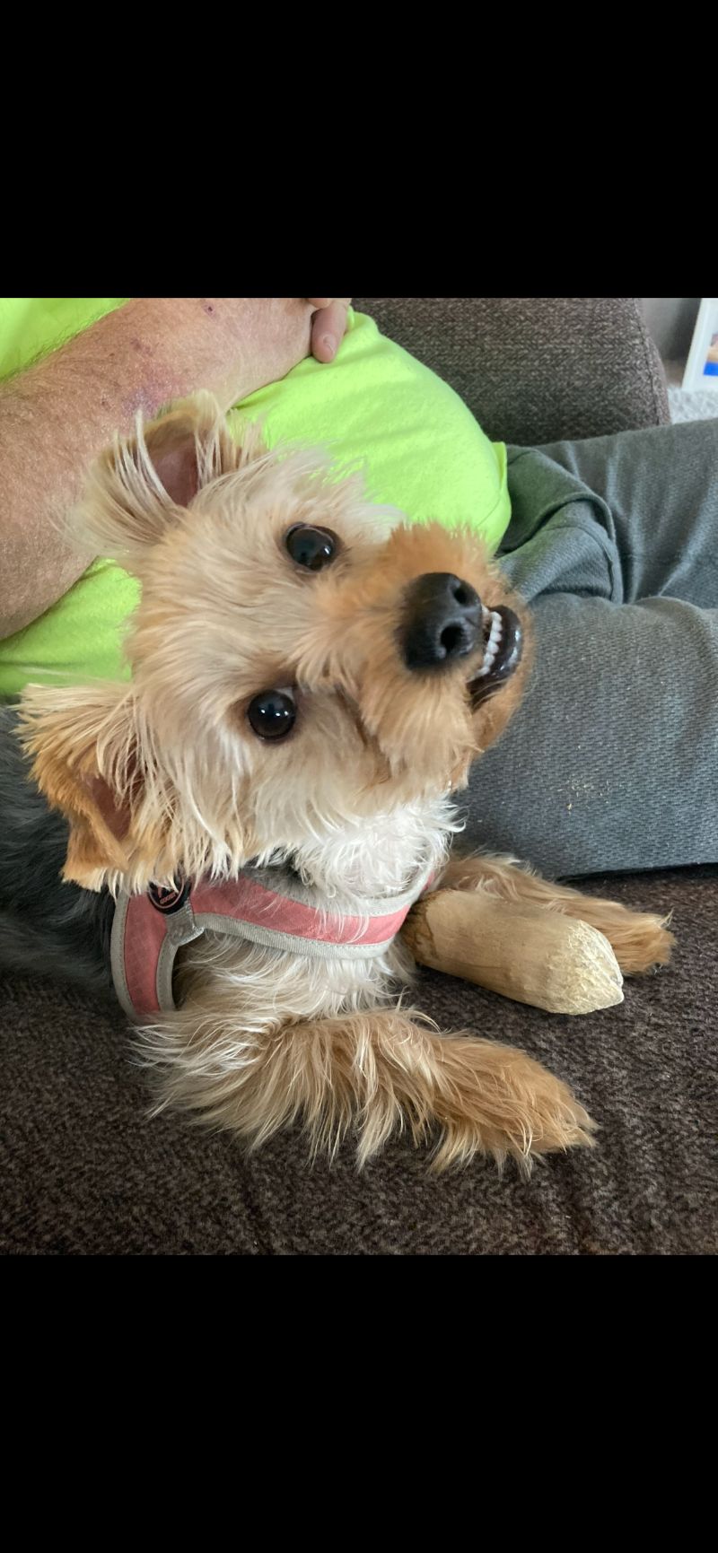Bailey