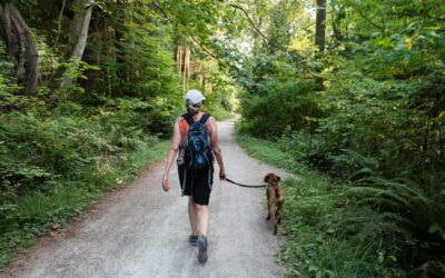 Keep Your Furry Friend Secure During Strolls: Tips for Dog Owners