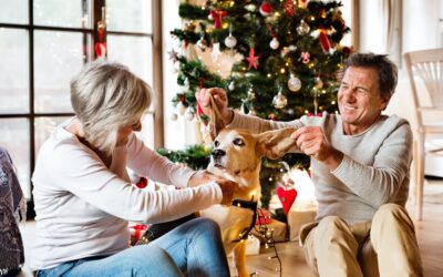 Senior Pets’ Happy Holiday Season: Ideas for Joyful Celebrations