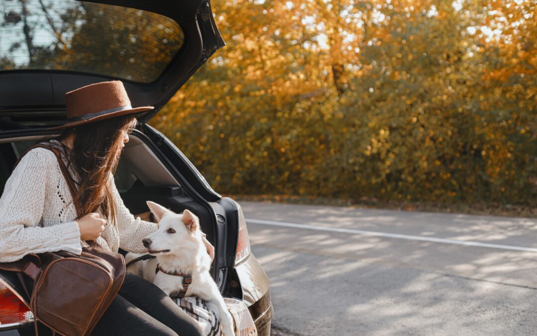Owner with her dog in the back trunk of their car on a roadtrip
